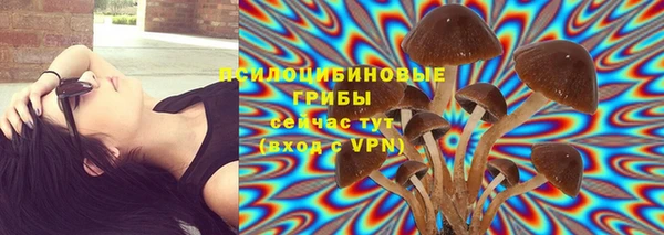 хмурый Нея