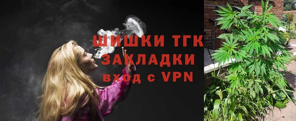 твердый Дегтярск