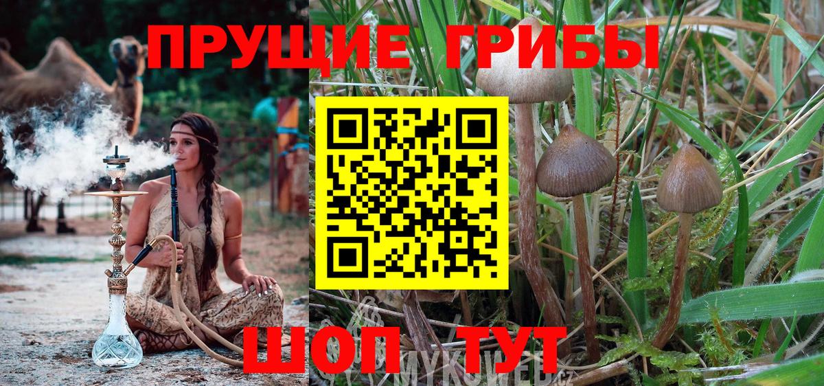 Галлюциногенные грибы Magic Shrooms Конаково